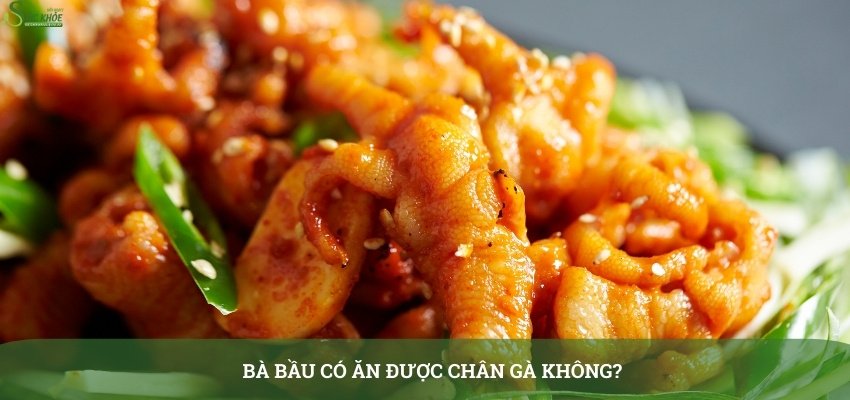 bau-an-chan-ga-duoc-khong-3123123