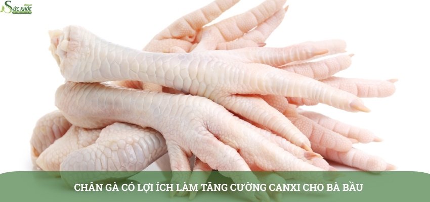 bau-an-chan-ga-duoc-khong1-3123