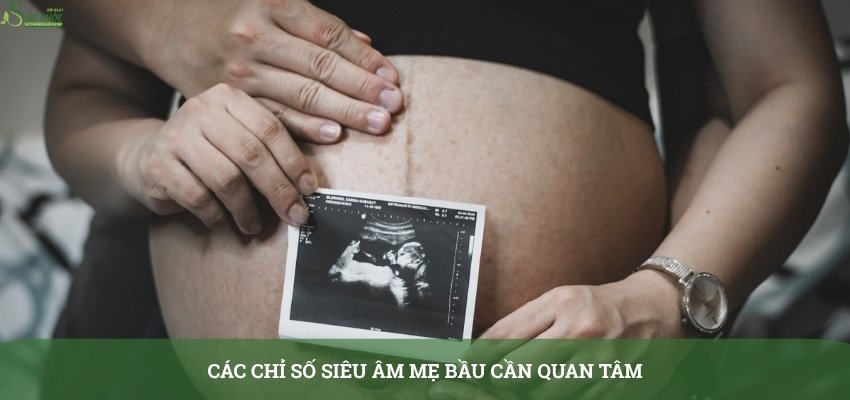 cac-chi-so-sieu-am-thai-2-3123