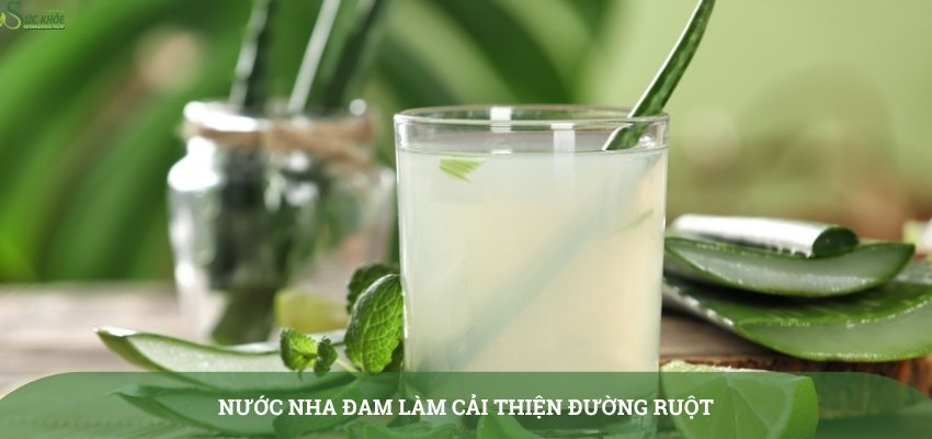 cac-loai-nuoc-mat-thanh-loc-co-the-4-3123