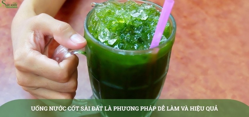 cay-sai-dat-chua-viem-da-co-dia-1432424-3123