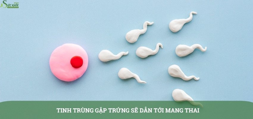 dau-hieu-thu-thai-sau-2-ngay-quan-he-1-3123