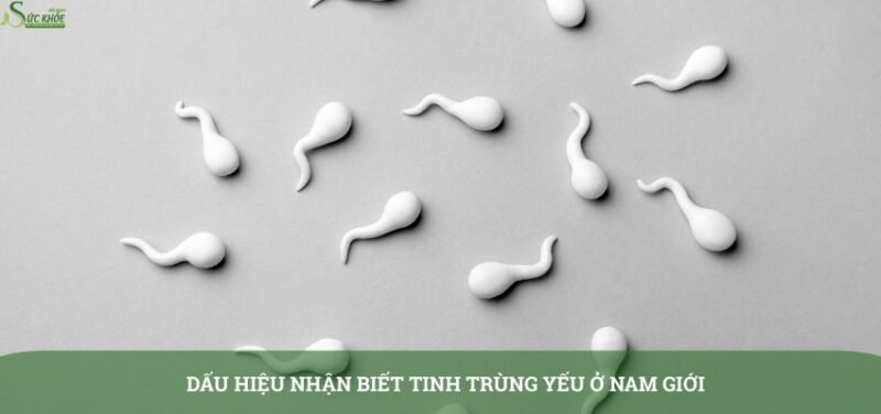 dau-hieu-tinh-trung-yeu-o-nam-gioi-3123