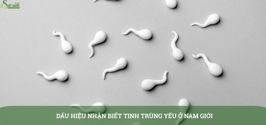 dau-hieu-tinh-trung-yeu-o-nam-gioi-3123