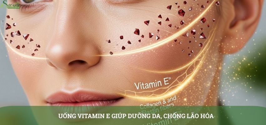 loi-ich-cua-viec-uong-vitamin-e-truoc-khi-ngu1-3123