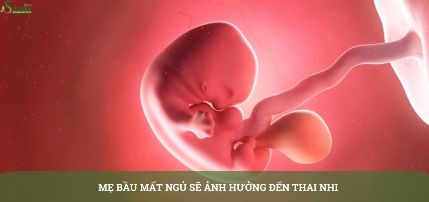 me-bau-mat-ngu-3-thang2-3213