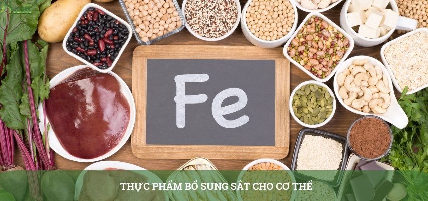 thuc-pham-bo-sung-sat-cho-co-the-321313