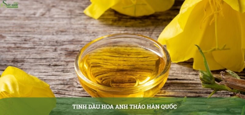 tinh-dau-hoa-anh-thao-han-quoc-31231