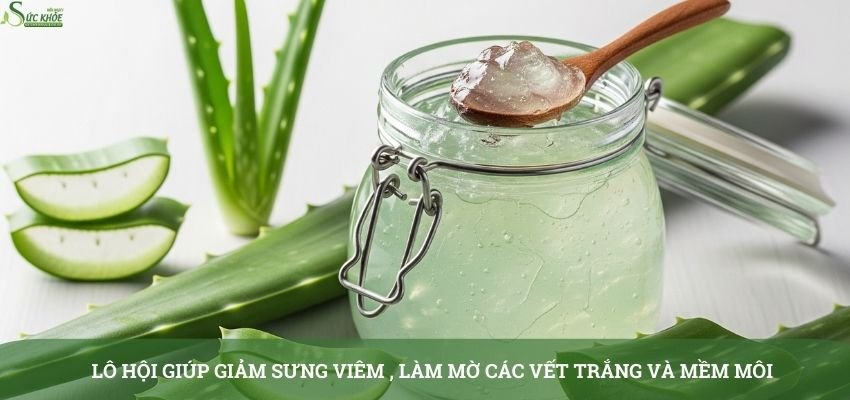 cach-chua-dom-trang-tren-moi-2-3123