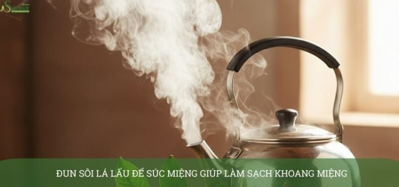 cay-la-lau-chua-sau-rang-1-3213