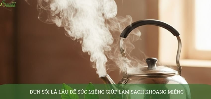 cay-la-lau-chua-sau-rang-1-3213