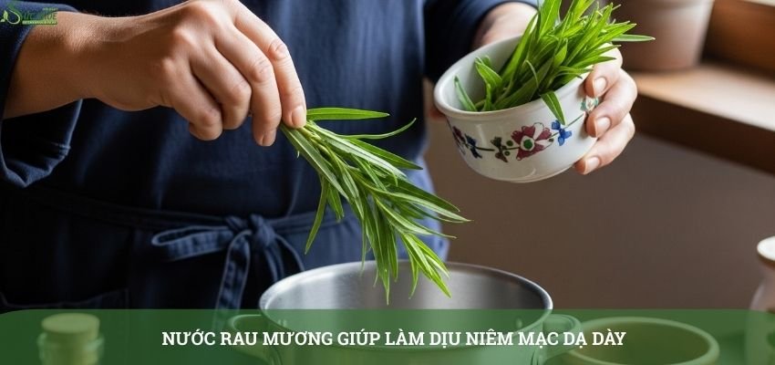 cay-rau-muong-chua-trao-nguoc-da-day-1-3123