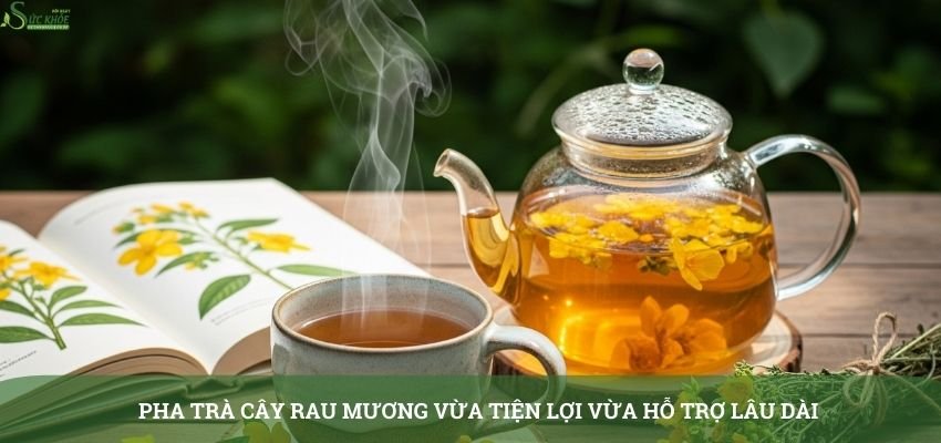 cay-rau-muong-chua-trao-nguoc-da-day-4-321312