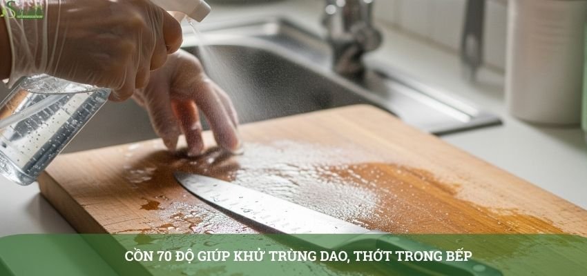 con-70-do-dung-de-lam-gì-1-424