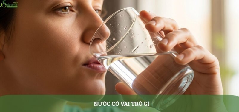 nuoc-co-vai-tro-gi-4234