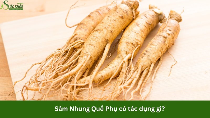 sam-nhung-que-phu-co-tac-dung-gi-3123