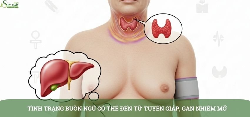 tai-sao-an-no-lai-buon-ngu-4-3123123