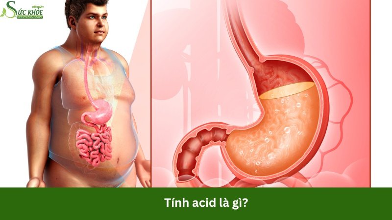 tinh-acid-la-gi-4234