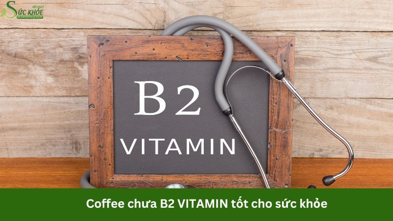 trong-ca-phe-chua-chat-gi1-4234