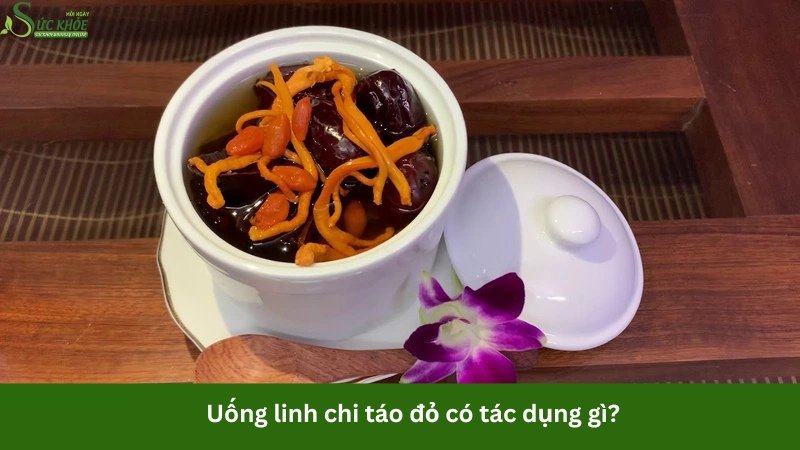 uong-linh-chi-tao-do-co-tac-dung-gi-4234